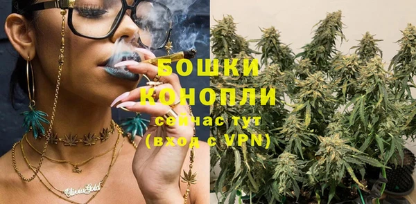 амф Михайловск