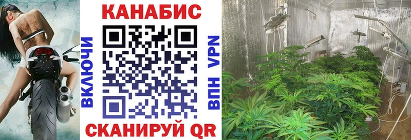 Купить закладки  Соликамск  Каннабис AK-47 